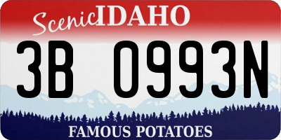 ID license plate 3B0993N