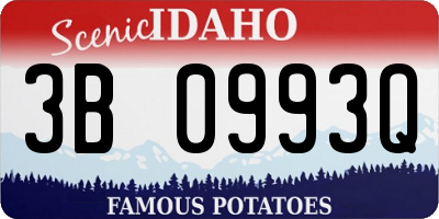 ID license plate 3B0993Q