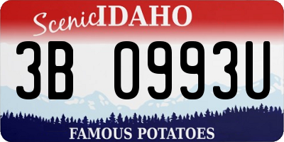 ID license plate 3B0993U