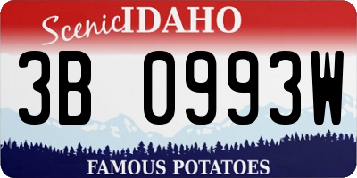 ID license plate 3B0993W