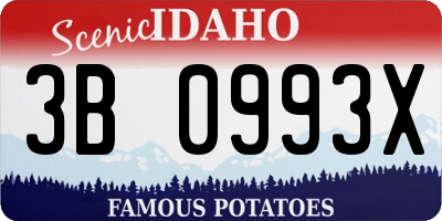 ID license plate 3B0993X