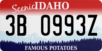 ID license plate 3B0993Z