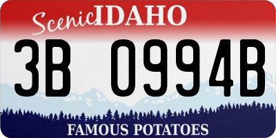 ID license plate 3B0994B