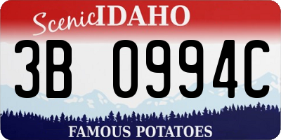 ID license plate 3B0994C