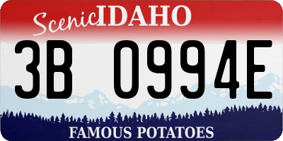 ID license plate 3B0994E