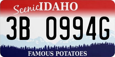 ID license plate 3B0994G