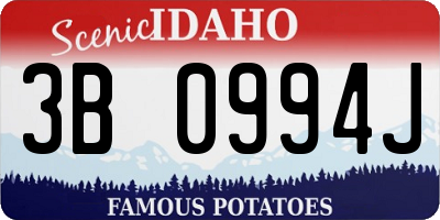 ID license plate 3B0994J
