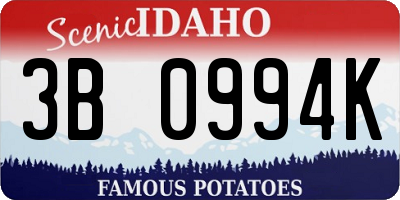 ID license plate 3B0994K