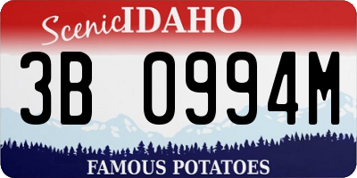 ID license plate 3B0994M