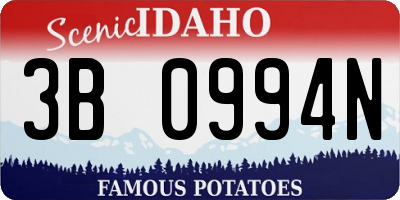 ID license plate 3B0994N