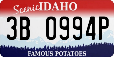 ID license plate 3B0994P