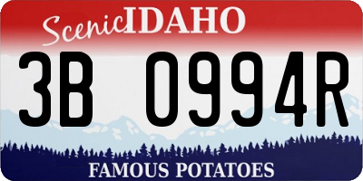 ID license plate 3B0994R