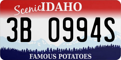 ID license plate 3B0994S