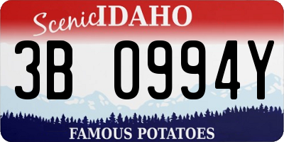 ID license plate 3B0994Y
