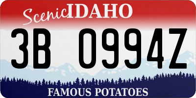 ID license plate 3B0994Z