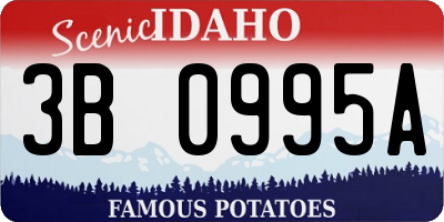 ID license plate 3B0995A