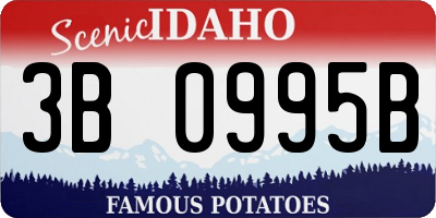 ID license plate 3B0995B