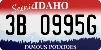 ID license plate 3B0995G