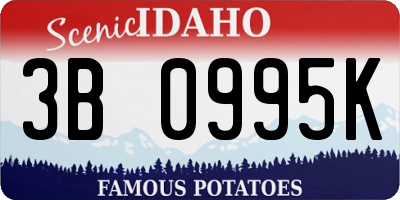 ID license plate 3B0995K