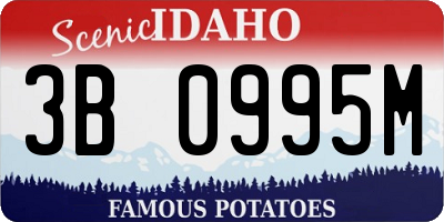 ID license plate 3B0995M