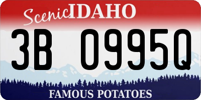 ID license plate 3B0995Q