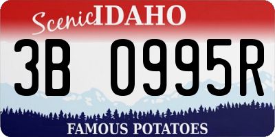 ID license plate 3B0995R