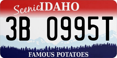 ID license plate 3B0995T