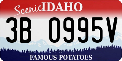 ID license plate 3B0995V