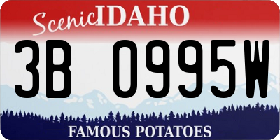 ID license plate 3B0995W