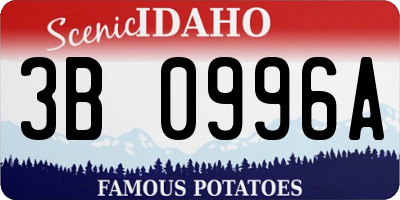 ID license plate 3B0996A