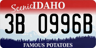 ID license plate 3B0996B