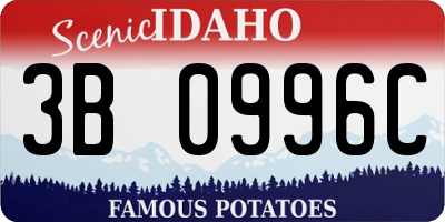 ID license plate 3B0996C