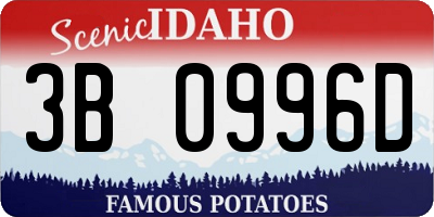 ID license plate 3B0996D