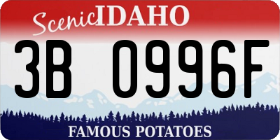 ID license plate 3B0996F