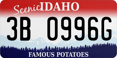 ID license plate 3B0996G