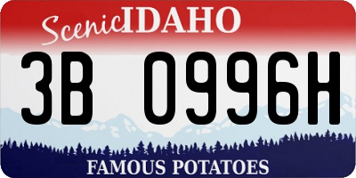 ID license plate 3B0996H