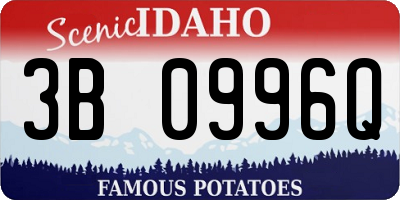 ID license plate 3B0996Q