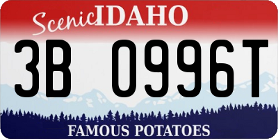 ID license plate 3B0996T