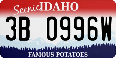 ID license plate 3B0996W