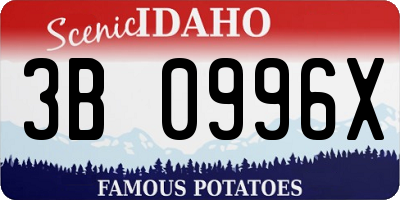 ID license plate 3B0996X