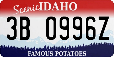 ID license plate 3B0996Z