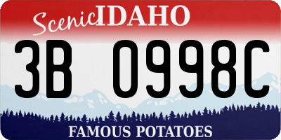 ID license plate 3B0998C