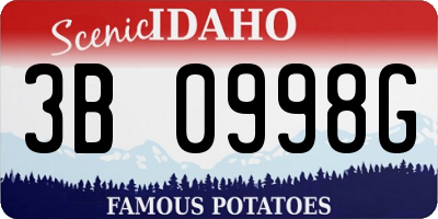 ID license plate 3B0998G