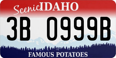 ID license plate 3B0999B