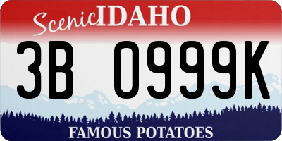 ID license plate 3B0999K