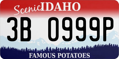 ID license plate 3B0999P