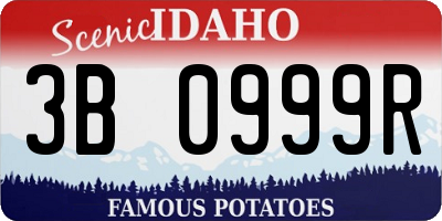 ID license plate 3B0999R