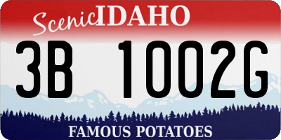 ID license plate 3B1002G