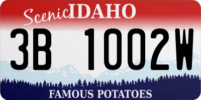 ID license plate 3B1002W
