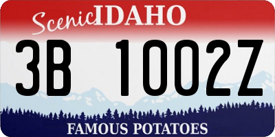 ID license plate 3B1002Z